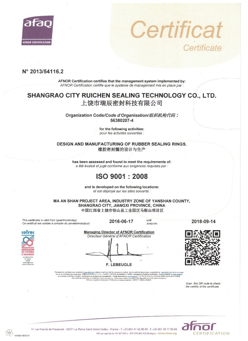 Chine Dongguan Ruichen Sealing Co., Ltd. Certifications